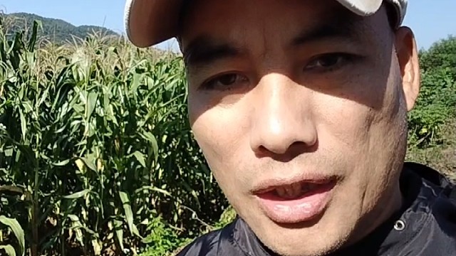 为了孩子，我坚持呼吁停掉网络游戏