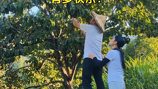 看看生活在农村的一天有多快乐？