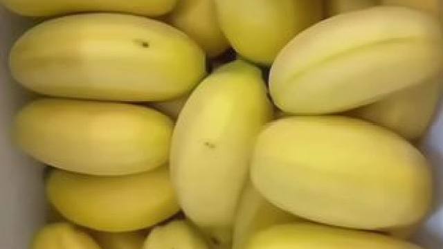 奶香奶香的苹果蕉，又糯又甜又丝滑。已经回购无数次了