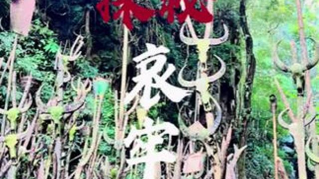 哀牢山深处到底有什么