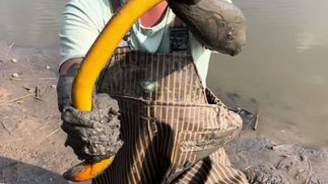 花100块钱就扣了18斤鳝鱼，全部都是大货，简直是赚翻啦！！