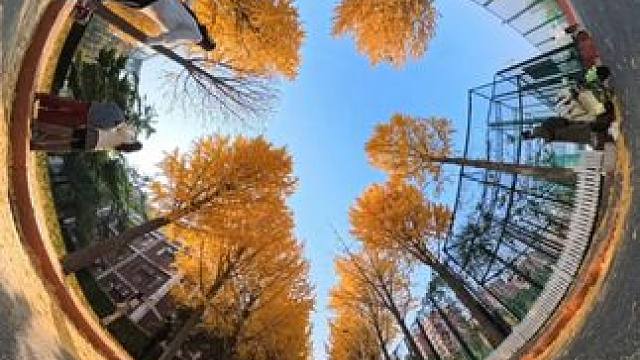 走着走着走到教博会现场啦