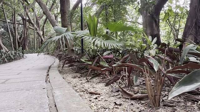 我发布了一个新视频，快来围观吧！