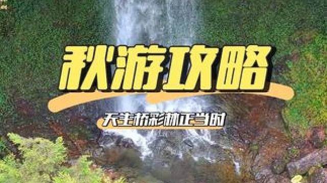 这个秋，来龙苍沟开启宝藏彩林，还能偶遇小动物哦