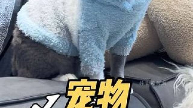 天冷了，你家毛孩子的衣服准备好了吗？蕉内超柔软保暖的宠物衣服，猫猫狗狗都可以穿