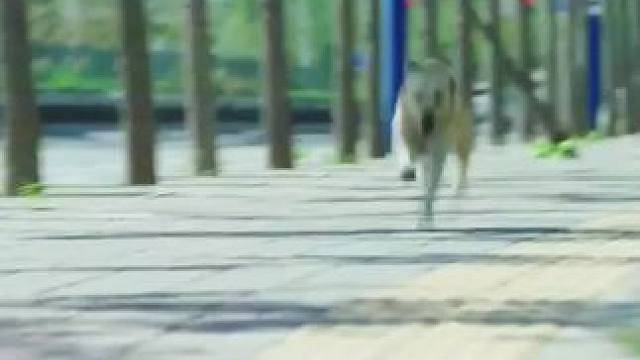 看完整版 大结局太精彩了 《西瓜视频》，观看精彩后续《西瓜视频》，观看精彩后续《西瓜