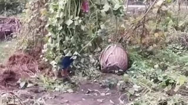 山卡卡里的农村大姐一部手机直播30天变现2000