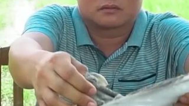 特色冰镇苦胆汁手撕大毛肚