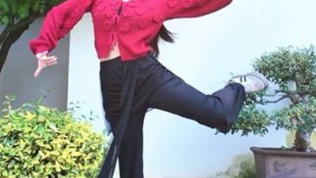 眉间一点朱砂痣，心上几许白月光