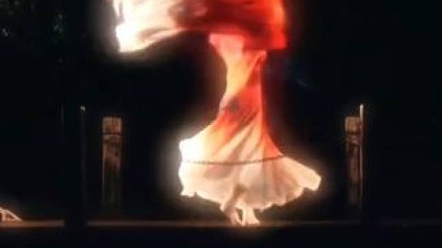 春风若有怜花意 可否许我再少年