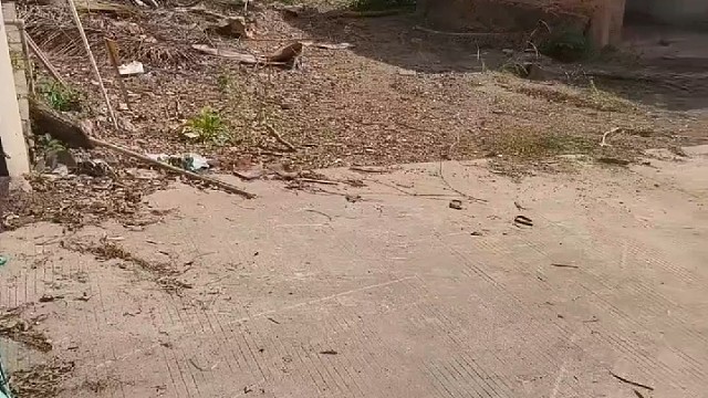 深圳观澜湖高尔夫球会