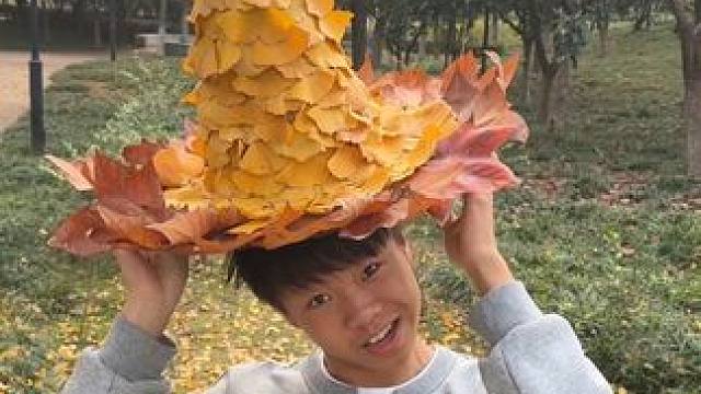 谁还没有银杏叶魔法帽
