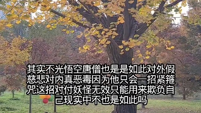 人心与人性-航海帆TⅤ#文化属性#社会制度#F结盟#乌鸦的世界