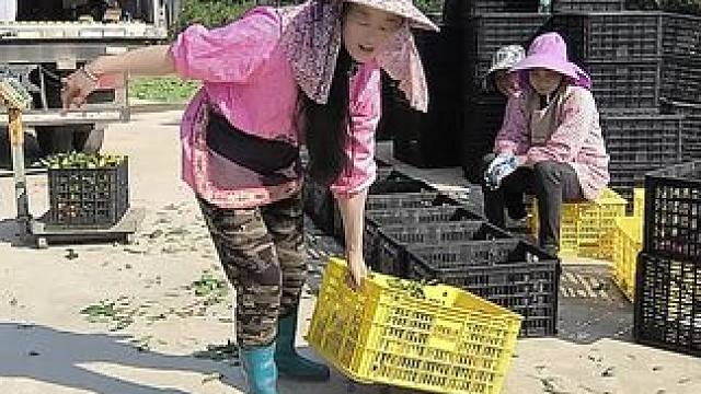 我发布了一个新视频，快来围观吧！