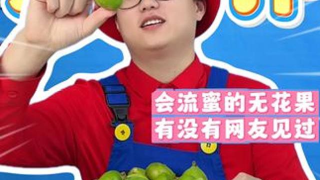 这无花果真的能流蜜吗？