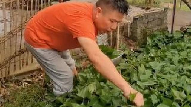 最靓仔咯