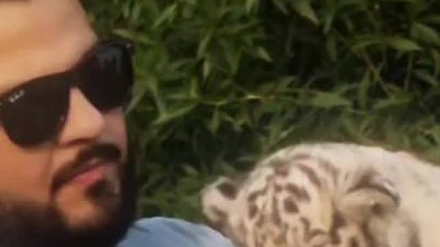 看来能对付他们的只有这个了