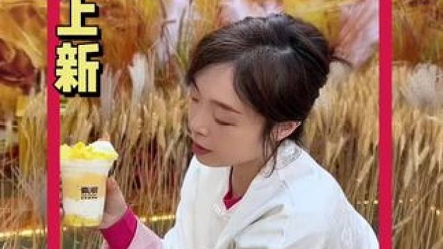 上新即顶流 「瓷沏」固体杨枝甘露 层层惊喜 口感丰富