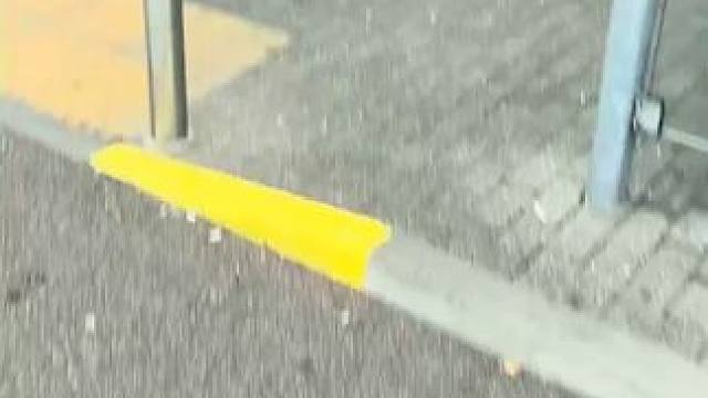 它们看起来多么神奇！！