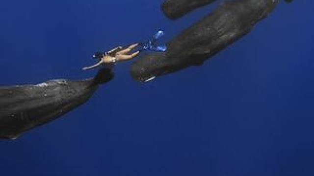 光看不点赞，人品降一半