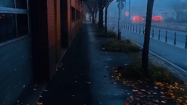 降温了，你要注意保暖.....