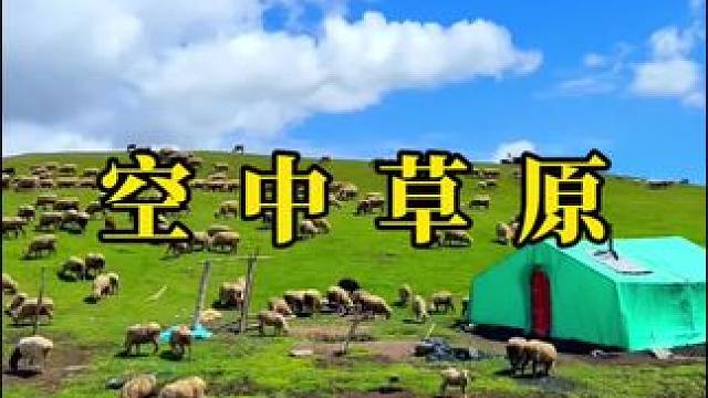 这不就是课本里的，天苍苍，野茫茫，风吹草地见牛羊么。