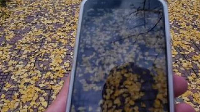 人与人之间建立关系要用很多个日夜 而归零只是一瞬间.