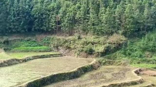 想不通，老一辈为什么要搬到这里来住？晚上睡觉不怕吗？