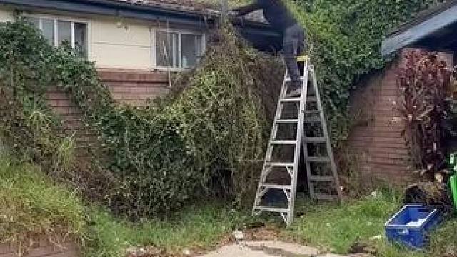 来自澳洲的清洁工作，解压又高薪！