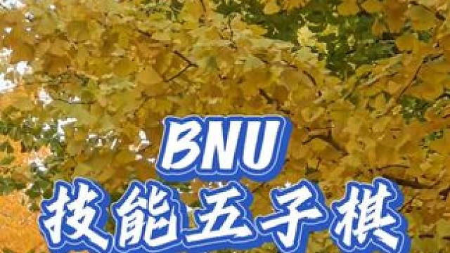 技能北师大！好好玩