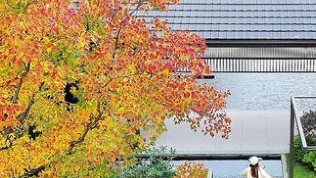 成都周边遛娃 泡汤 这家新开业的酒店一定能满足你