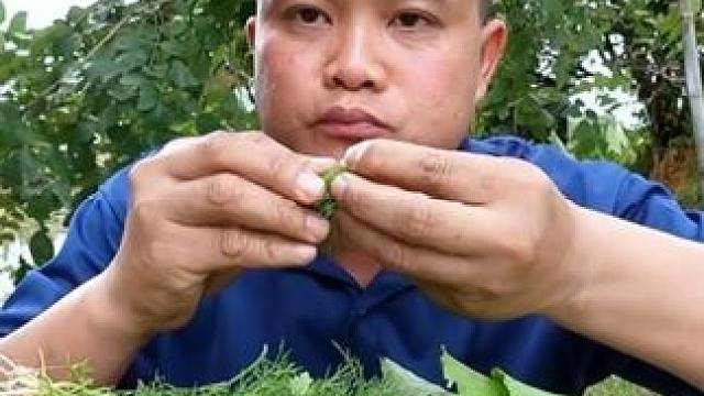 小洋葱泰国香米饭团辣拌️烤蘑菇‍