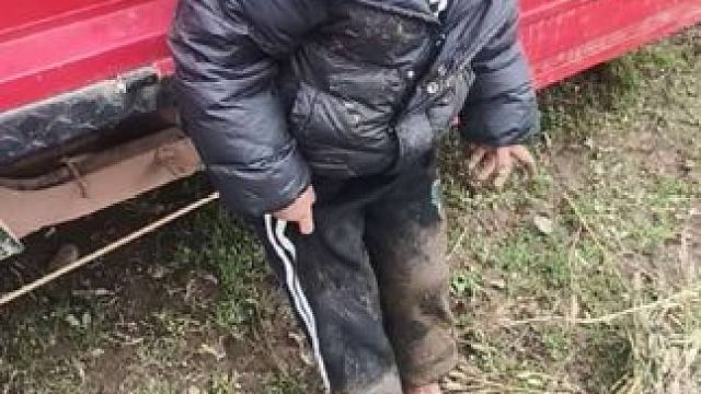 大双有点委屈了。