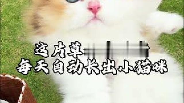 “又是进货的一天”