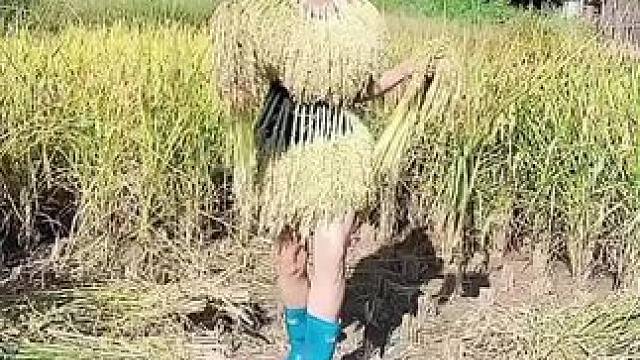 山卡卡里的农村大姐一部手机直播30天变现2000新人首播一个小工具轻松开播