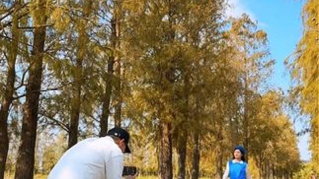 秋天的林荫小道这样拍也太美了