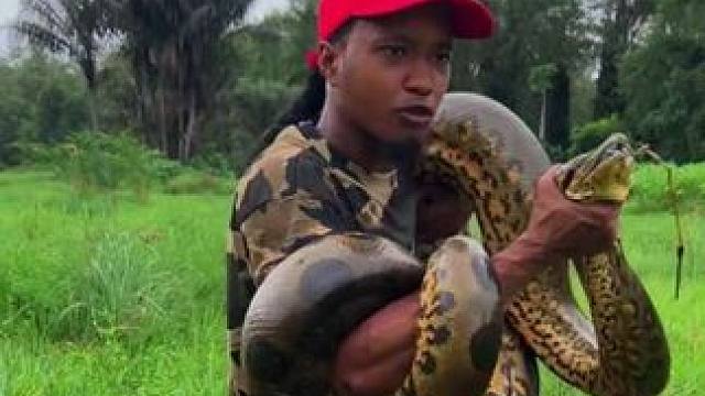 国外精神小伙徒手捉森蚺