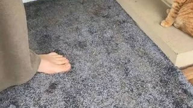 顺便说一句，这是她最喜欢撒谎的地方