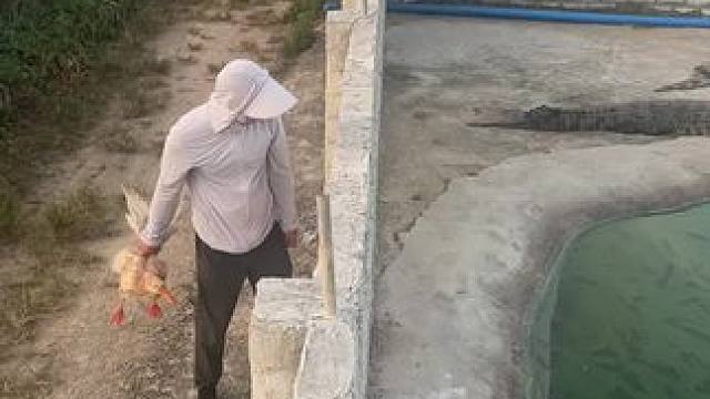 这涡轮增鸭动力不太行……