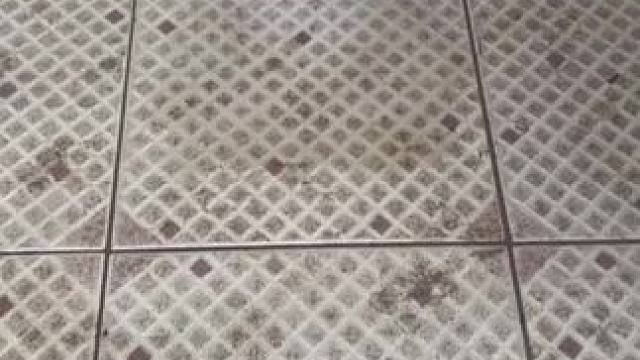 瓷砖强力清洁剂，解决反碱，发黑，发黄，铁锈等问题，厕所清洁的好帮手！