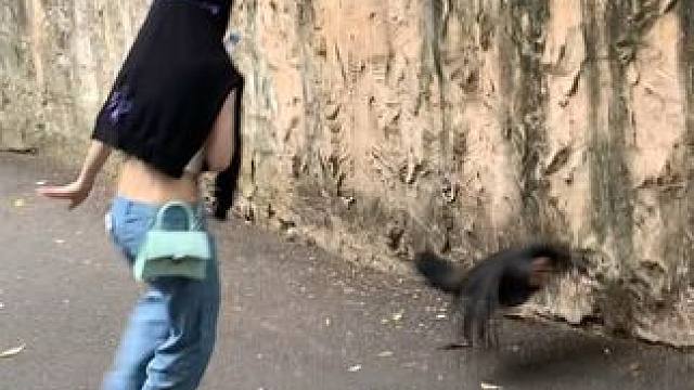 搞抽象的素材我可多了去了