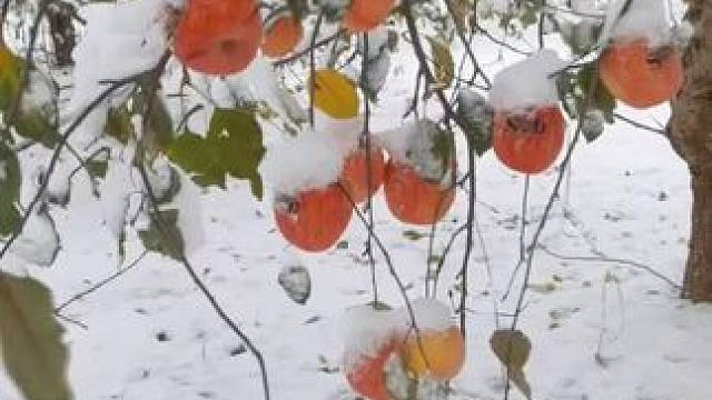 2025年的第一场雪