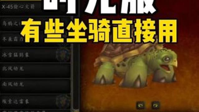 时光服有些坐骑可以直接用