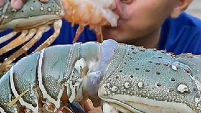 酸辣海鲜汁️刺身大龙虾