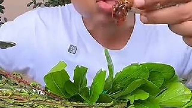 剁椒酱汁️刺身大毛蛤