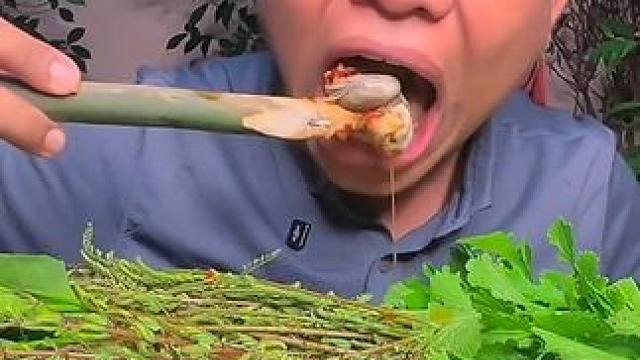 这大蜗牛肉太好吃了