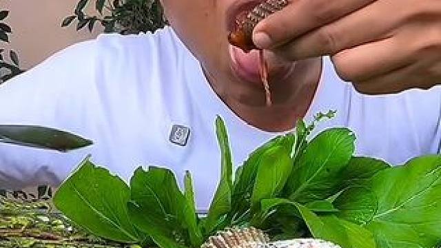 剁椒酱汁️刺身大毛蛤