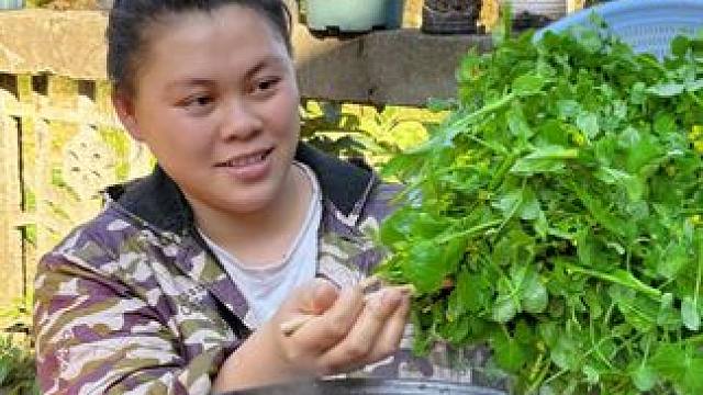 今天摘了很多豌豆尖来烫火锅，直接吃个够