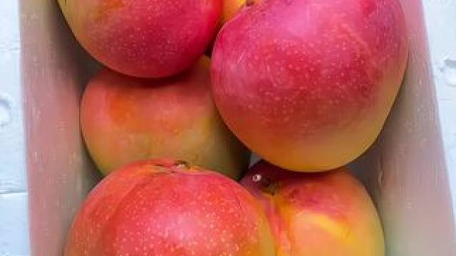 现摘现发的澳芒，也叫苹果芒！皮薄肉厚，软糯香甜，一口爆汁巨好吃 #