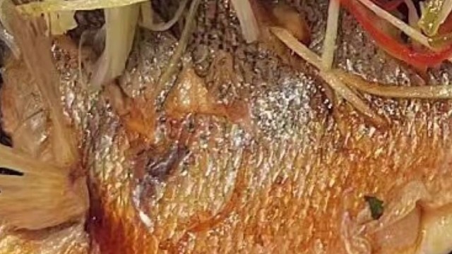 小九神大魔王